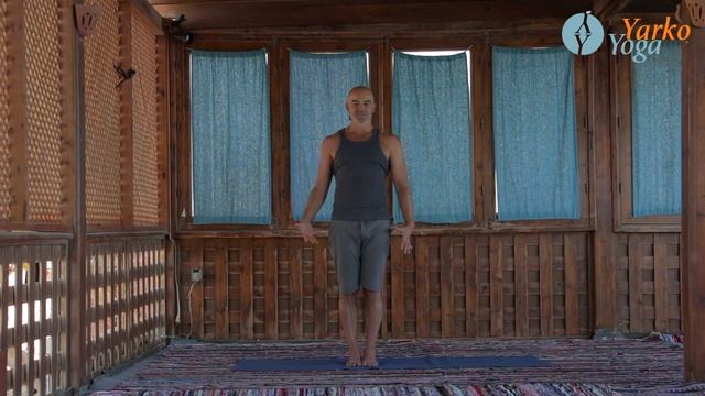 Йога для начинающих Тадасана, Поза Горы, Самастхити.