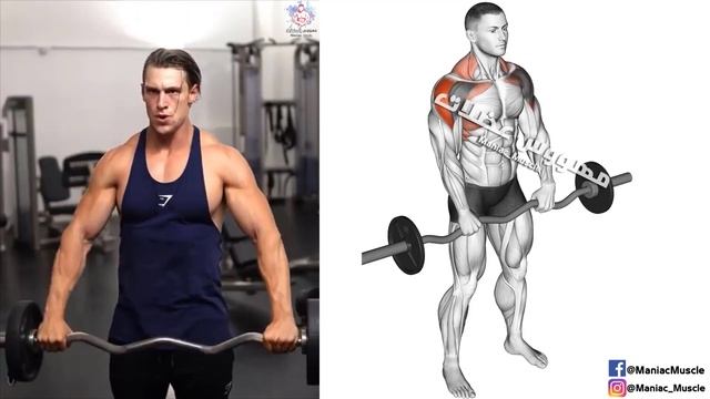 How To Build Your Shoulder with Barbell - تمارين الكتف смотреть онлайн