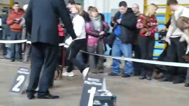 Моно ДОБЕРМАНОВ Челябинск 13.02.11 Прозоров.Д. смотреть онлайн