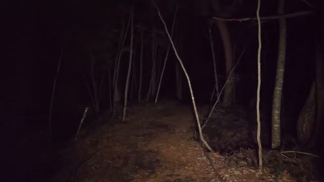 СТРАШНЫЕ ЗВУКИ НОЧЬЮ В ЛЕСУ ЗАГАДКИ ЛЕСА ХОРРОР смотреть онлайн