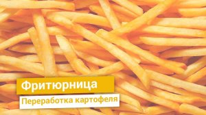 Производство фритюрницы для линии картофеля фри от компани BIGTEM