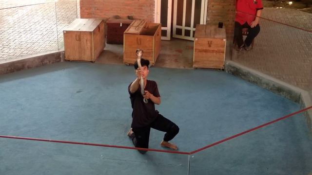 Шоу змей. Вьетнам 2020. смотреть онлайн