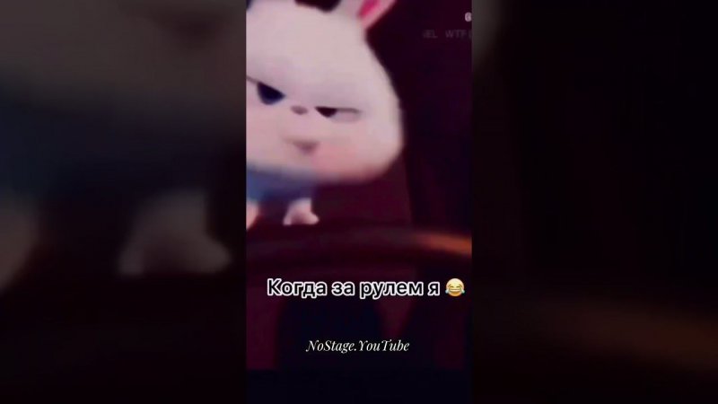 Аджарка гуджу, с башкой не дружу!