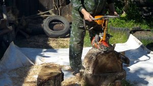 Бензопила Дружба-4