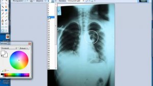 Как нарисовать круг в Paint.NET!