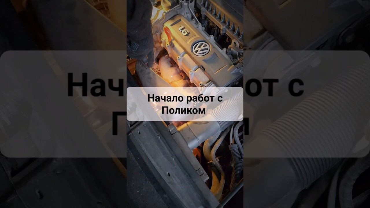 Начало работ с Поликом! #перекупавто #хочуаллроад