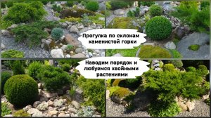 Прогулка по склонам каменистой горки.