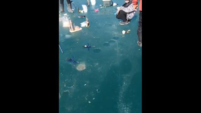 чуть-чуть льда вам в ленту балхаш база волна поселок Улкен возле АЭС