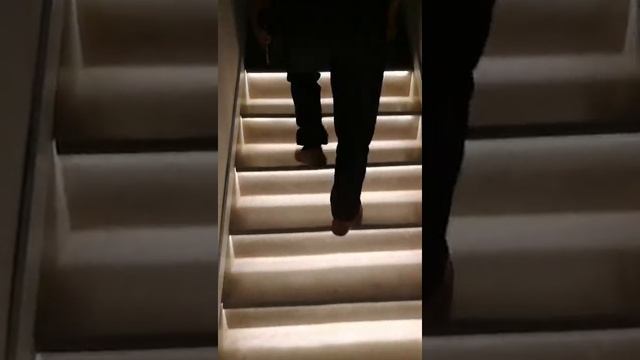 DIY   Digital LED Stair Lighting