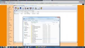How to install NRAAS Woohooer mod (Sims 3)