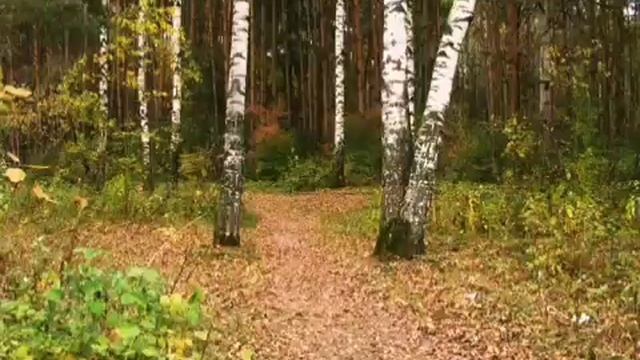 VID-20230321-WA0003~2.mp4 смотреть онлайн