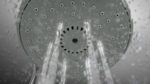 GROHE Tempesta - лейка для душа и души