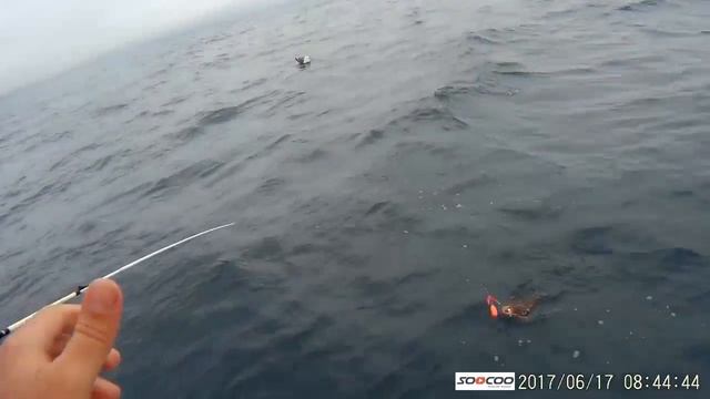 Уссурийский залив за камбалой на катере смотреть онлайн