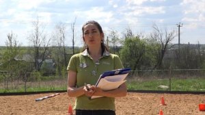 Как подвести лошадь к сбору?