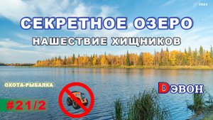 Секретное озеро. Часть 2. Нашествие хищников.