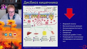 Нарушение микробиома кишечника и СПКЯ l Пустотина О. А.