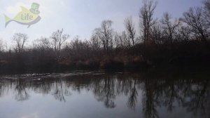 Особенности ловли карася леща и плотвы осенью в октябре ноябре. В это время можно ловить и по многу