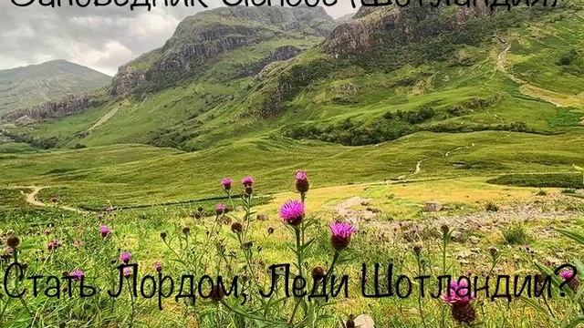 ?Оригинальный подарок?
Титул Лорда?и Леди? Glencoe (Шотландия)