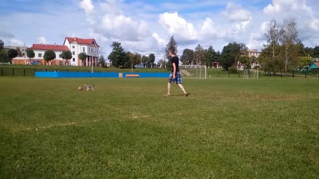 Если Ваш муж не хочет заводить йорка... смотреть онлайн