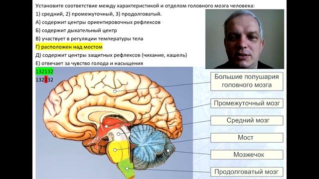 Видео-объяснение для Биоробота