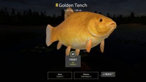 Russian Fishing 4 - Golden Tench Trophy 5,763 kg - Bear Lake