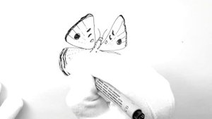 Рисуем бабочку линером легко / графика / Учимся рисовать