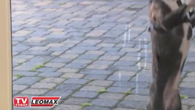 Антимоскитная чудо занавеска (москитная сетка шторы на магнитах от комаров) купить на leomax.ru