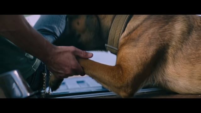 ОБЗОР Лулу и Бриггс ? Русский трейлер ? Фильм 2022.mp4 смотреть онлайн