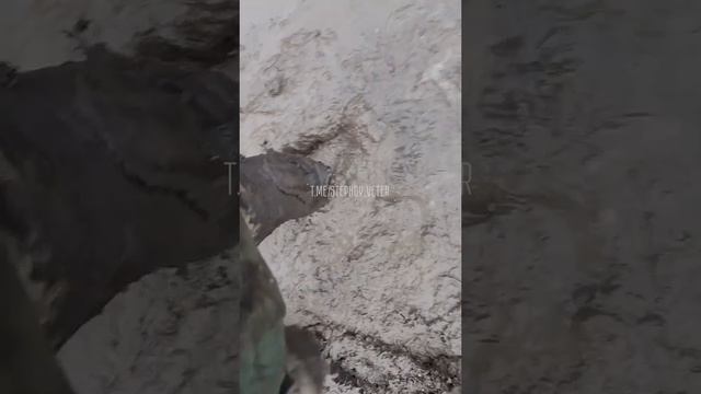 Демилитаризация в деле !!! 
? Подбитая автомобильная техника укропов где-то в зоне СВО !!!