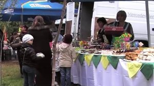 День города Вулканешты 2013