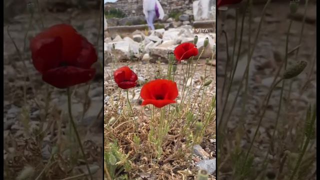 Turkey. Ephesus is an ancient, but well-preserved city of Artemis.