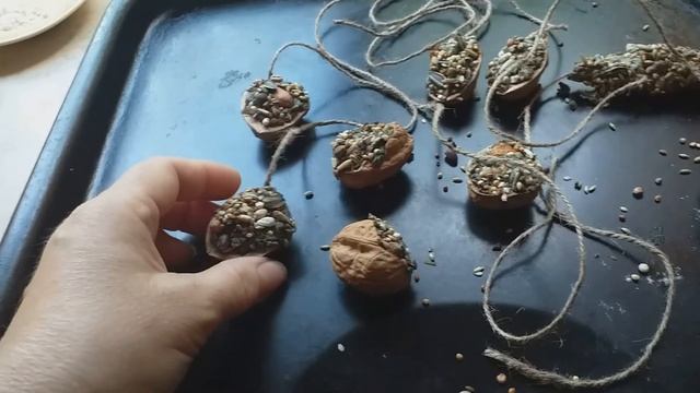 Попугаи жако. Чем кормить серых попугаев