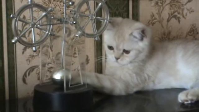 Семён Семёныч.wmv смотреть онлайн