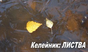 Келейник: Листва