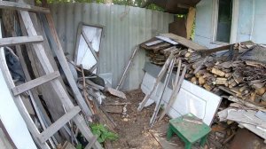 Нашли птенца, который выпал из гнезда. Что с ним делать?