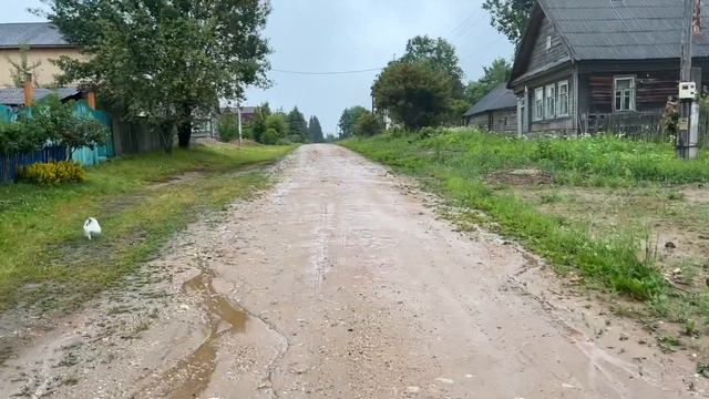 Мое дождливое,деревенское утро. Пойдемте гулять вместе? смотреть онлайн