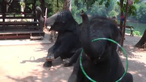 Река Квай, Тайланд (Сплав по реке Квай)