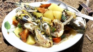 Настоящая рыбацкая УХА на костре, из касатки  с грибами, по рецепту рыбака,#МоиРецепты #Уха