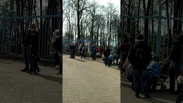 21.04.19 год Вербное Воскресение Ярославль