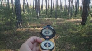 Ориентирование в лесу. Компас - кратко, просто и понятно.