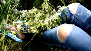 МАТРИКАРИЯ (Юрий Самсонов)