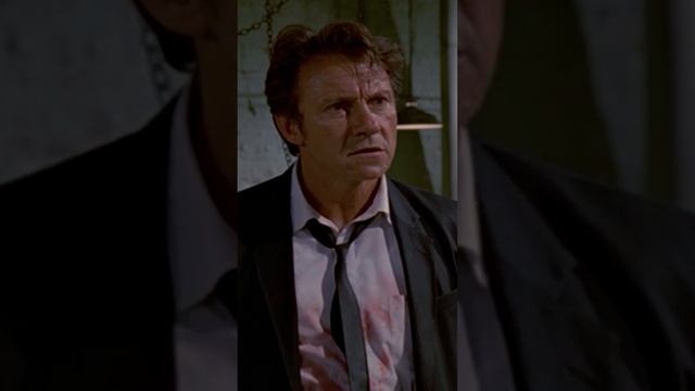 Бешеные псы