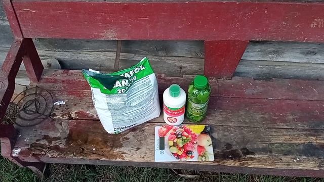 #хорошотамгдемыесть Важно!!! Хелат Железа. Сделайте эту подкормку обязательно.