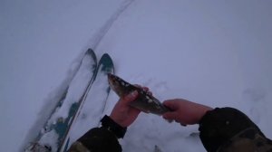 Ловля КРУПНОГО ХАРИУСА! Донка-топ снасть. Хариус в метель. Fishing for grayling!