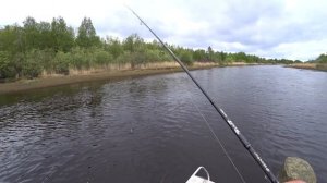 Рыбалка на реке ловля щуки и окуня на джиг