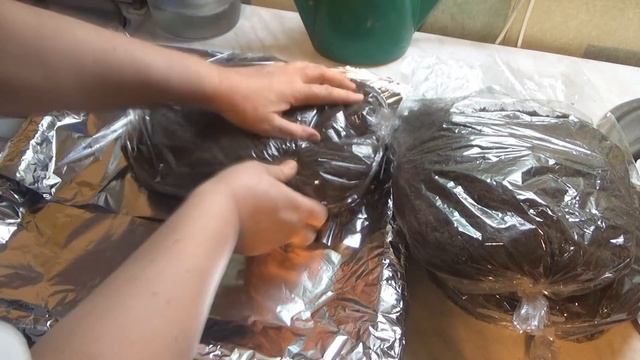 Обеззараживание почвы в рукаве для запекания. Готовлюсь к посевам смотреть онлайн