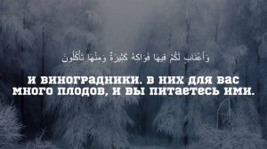 Читает - Махди аш Шишани