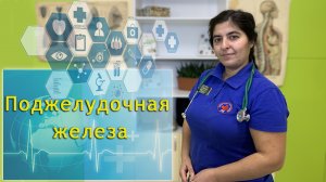 "Поджелудочная железа" занятия проводит Бикбаева Сусанна