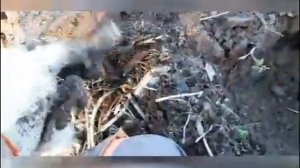 Коп в Калужской области.2020.