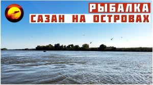 Рыбалка! САЗАН НА ОСТРОВАХ / Ловля Сазана и Сома в Астрахани